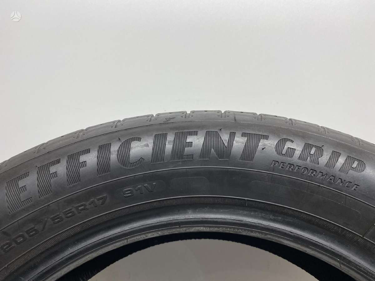 Goodyear EfficientGrip, vasarinės 205/55 R17