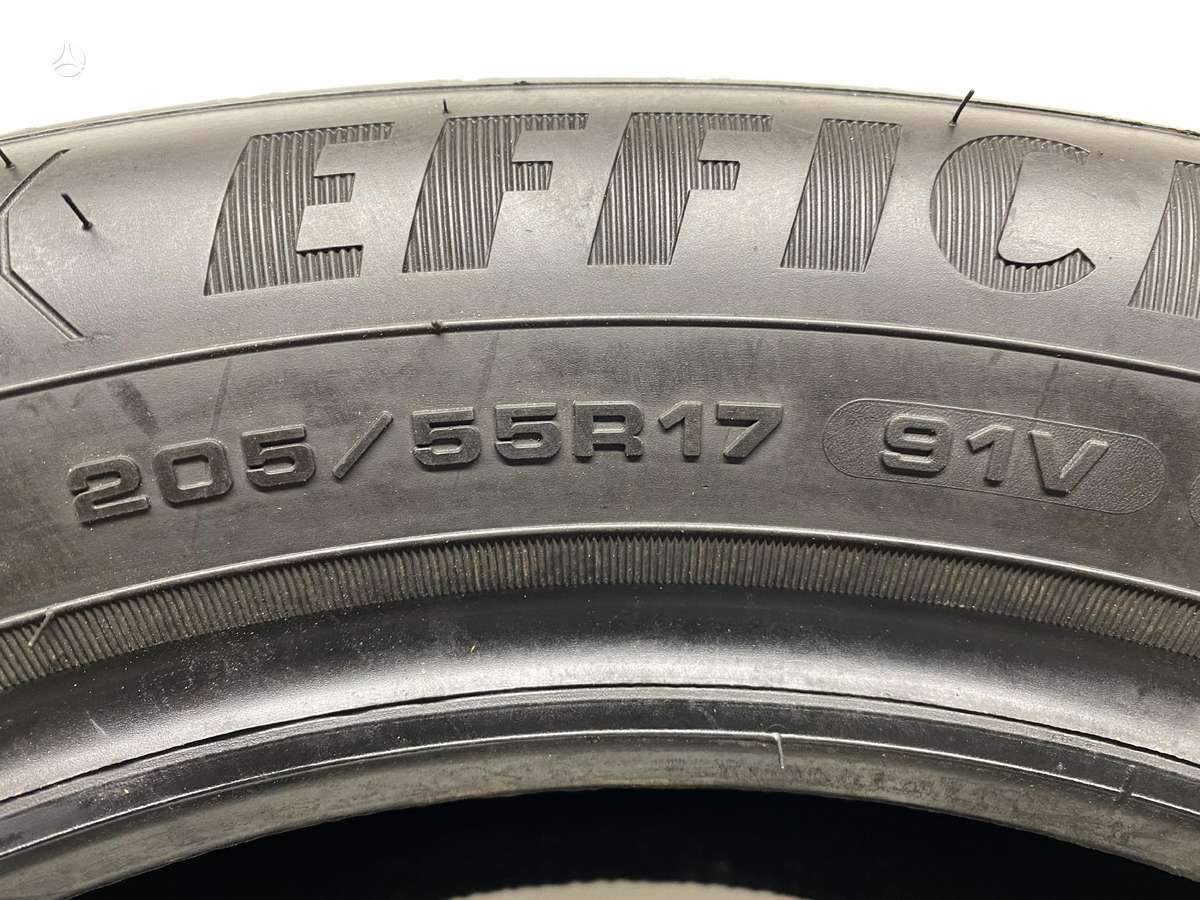 Goodyear EfficientGrip, vasarinės 205/55 R17