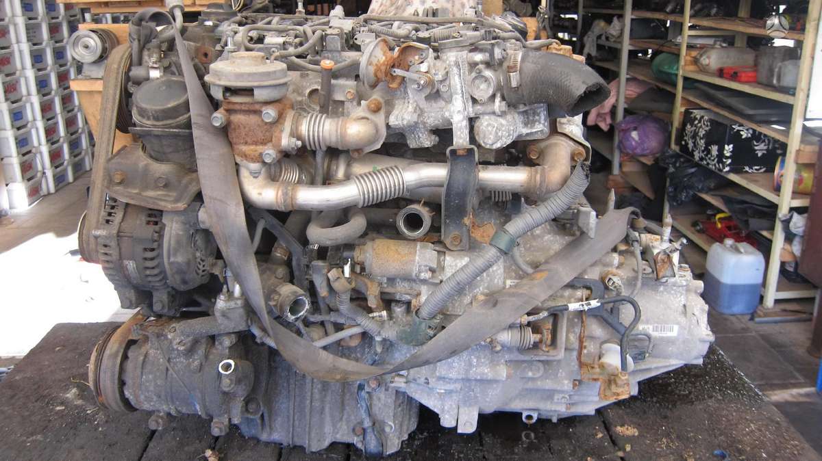 Honda Civic Variklio kodas n22a2