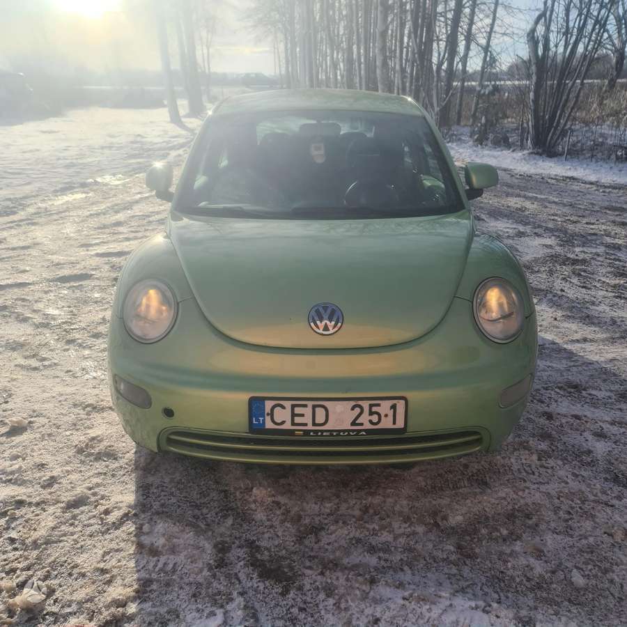 Volkswagen Beetle по частям. Europa dalimis