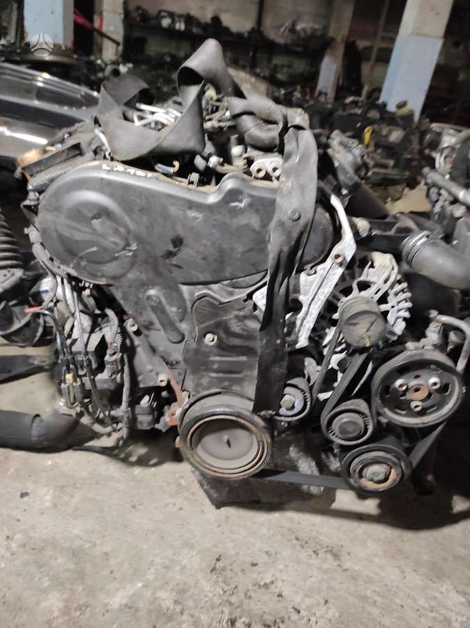 Audi A4 Tik variklis