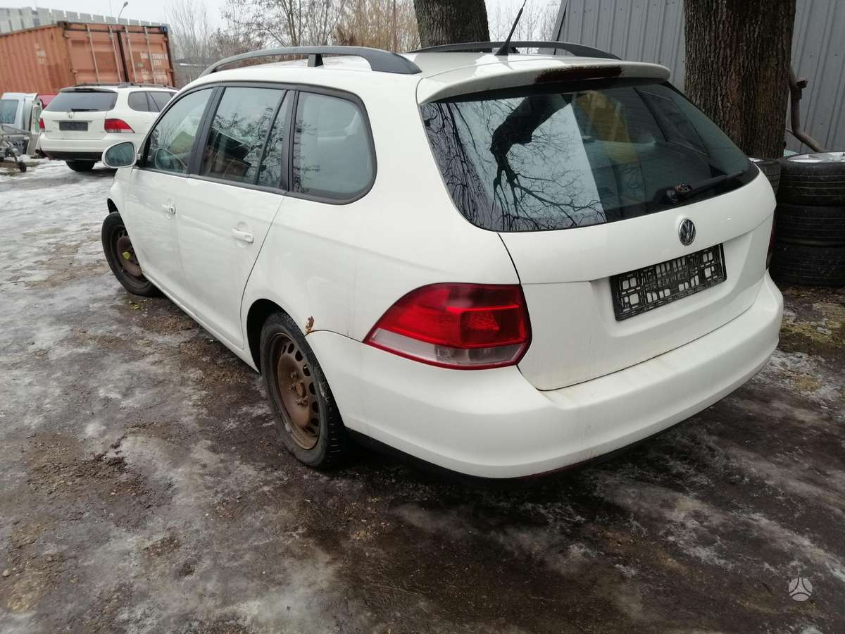 Volkswagen Golf Dalimis