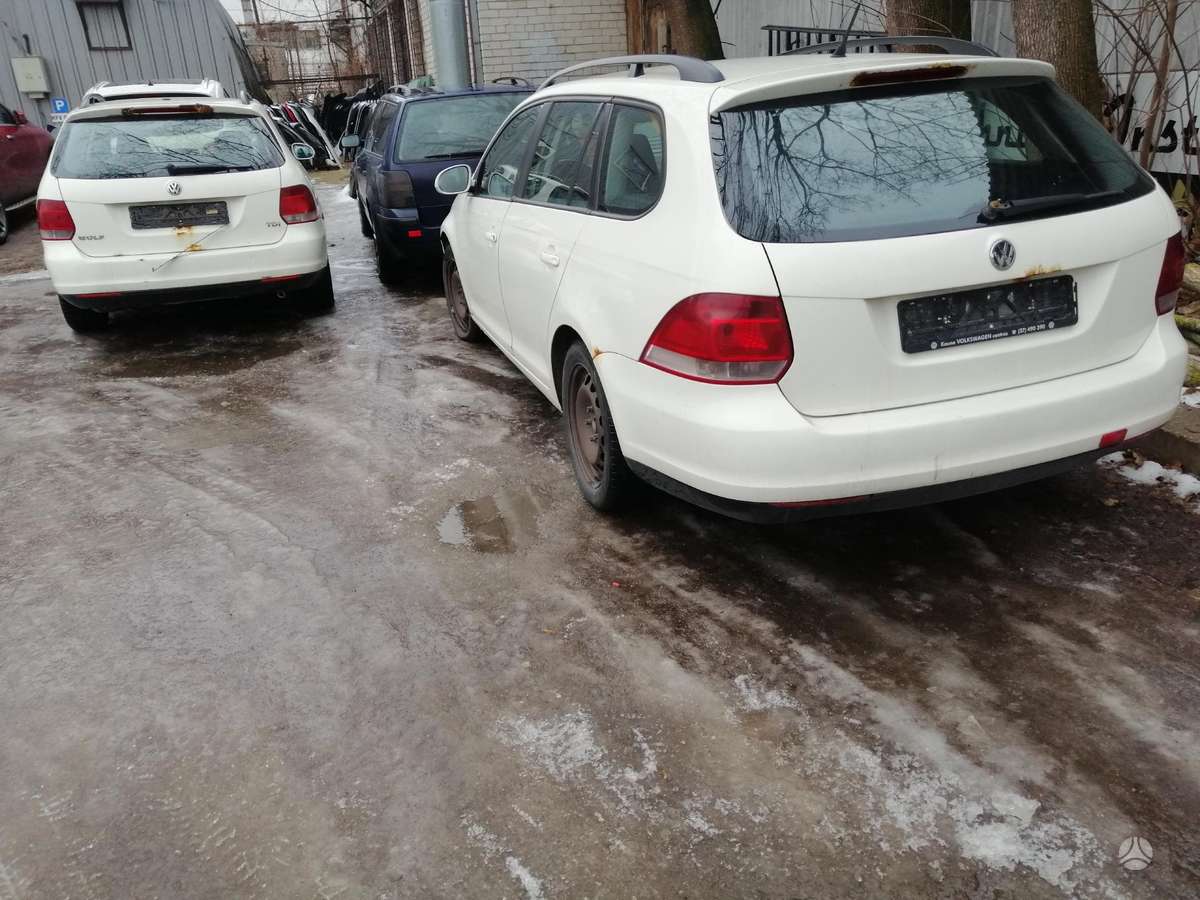 Volkswagen Golf Dalimis