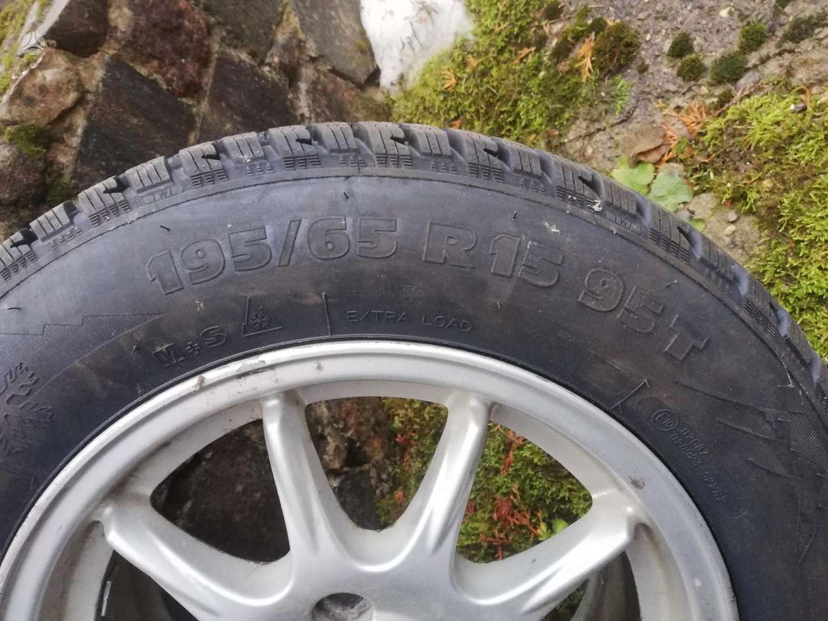 Taurus, winter 195/65 R15