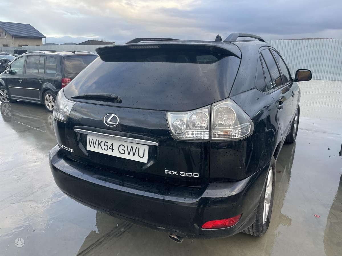Lexus RX 330 dalimis