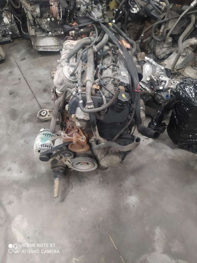 Fiat Ducato, krovininiai mikroautobusai