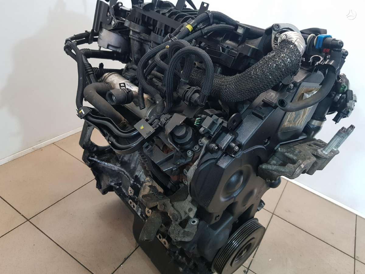 Ford C-MAX Variklio kodas g8db