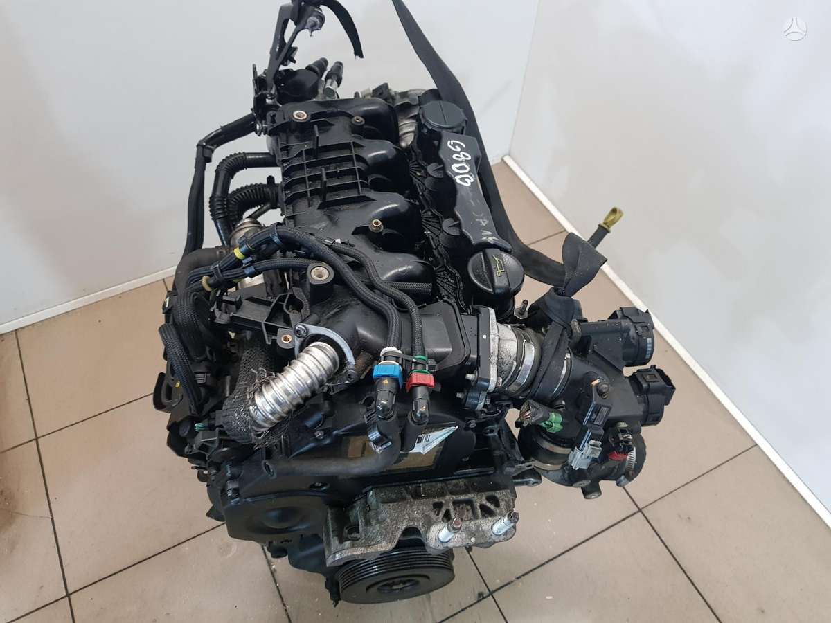 Ford C-MAX Variklio kodas g8db