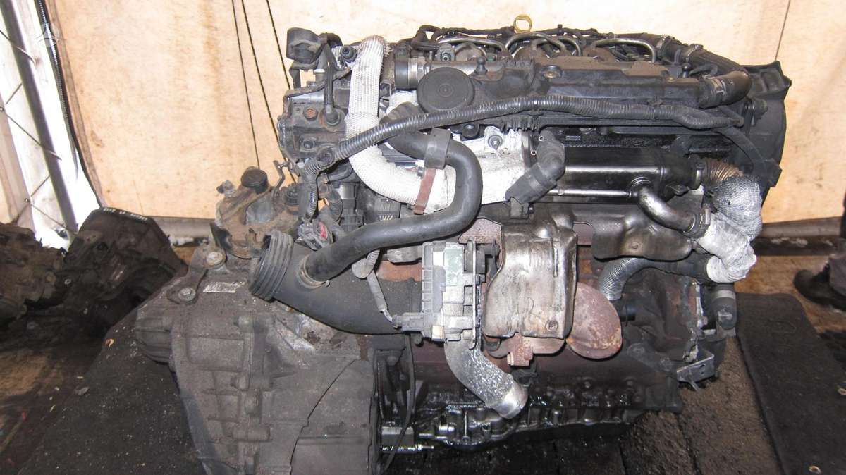 Ford Mondeo Variklio kodas q4ba