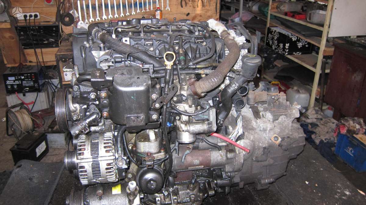 Ford Mondeo Variklio kodas q4ba
