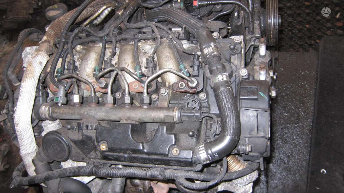 Ford Mondeo Variklio kodas q4ba