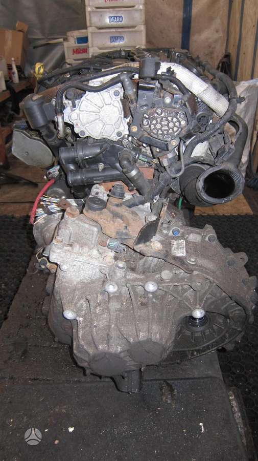 Ford Mondeo Variklio kodas q4ba
