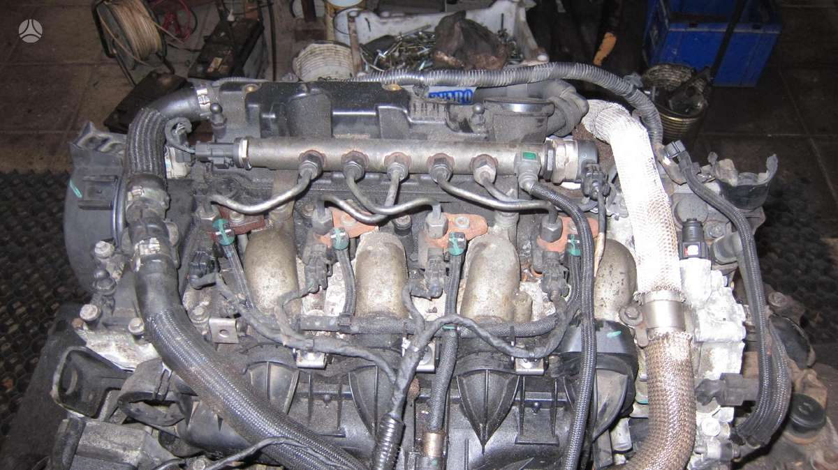 Ford Mondeo Variklio kodas q4ba