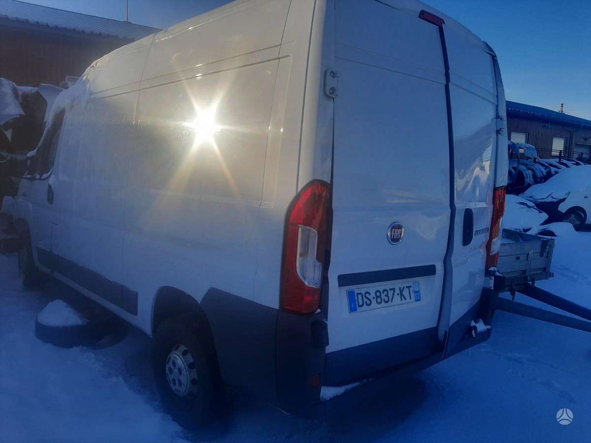 Fiat Ducato, грузовые микроавтобусы