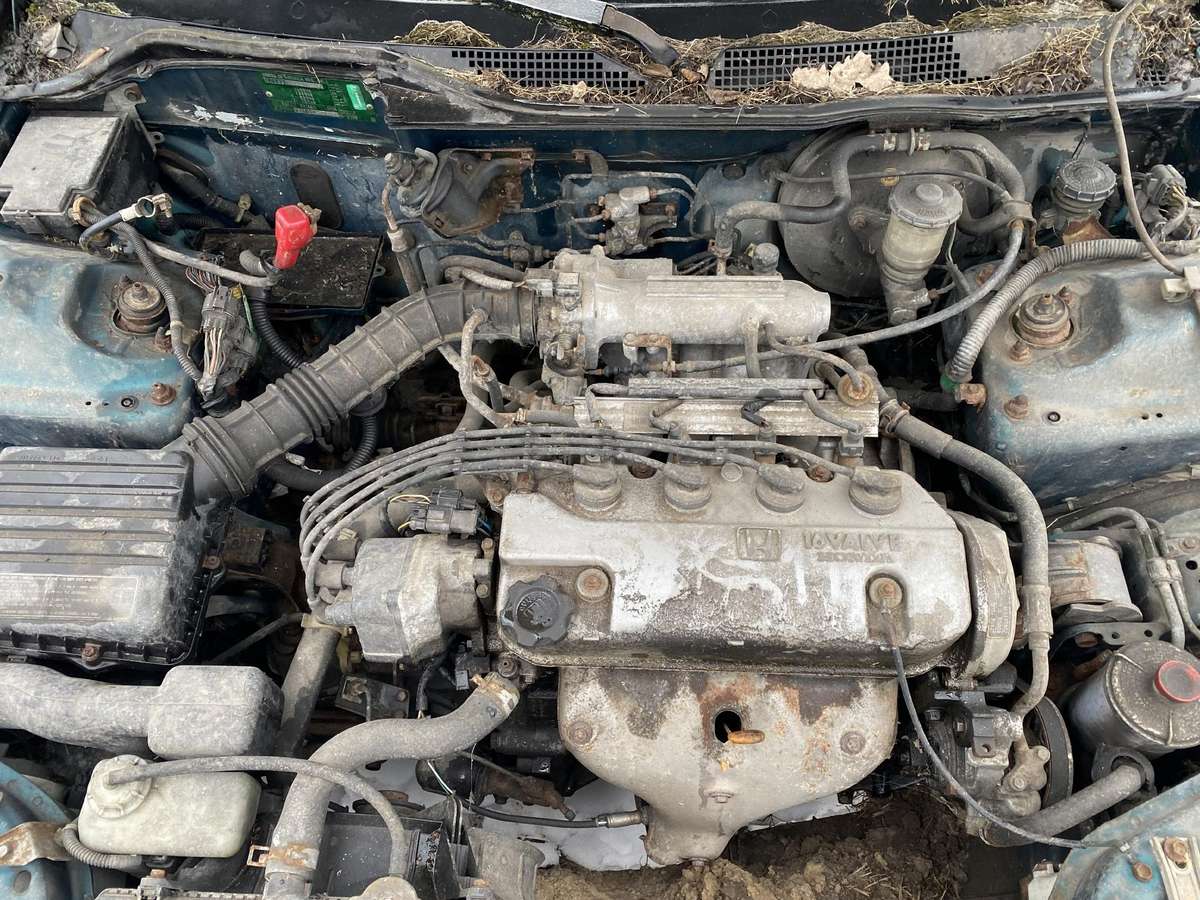 Honda Civic Dalimis