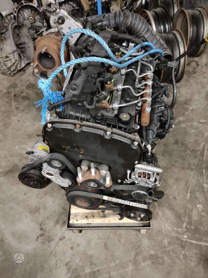 Ford Transit, cargo vans