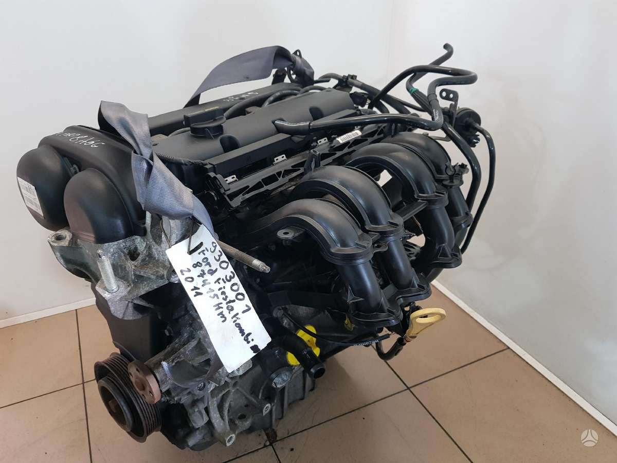 Ford Fiesta Variklio kodas snjb