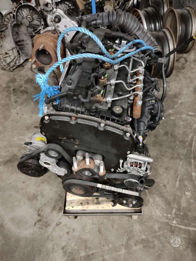 Ford Transit, грузовые микроавтобусы