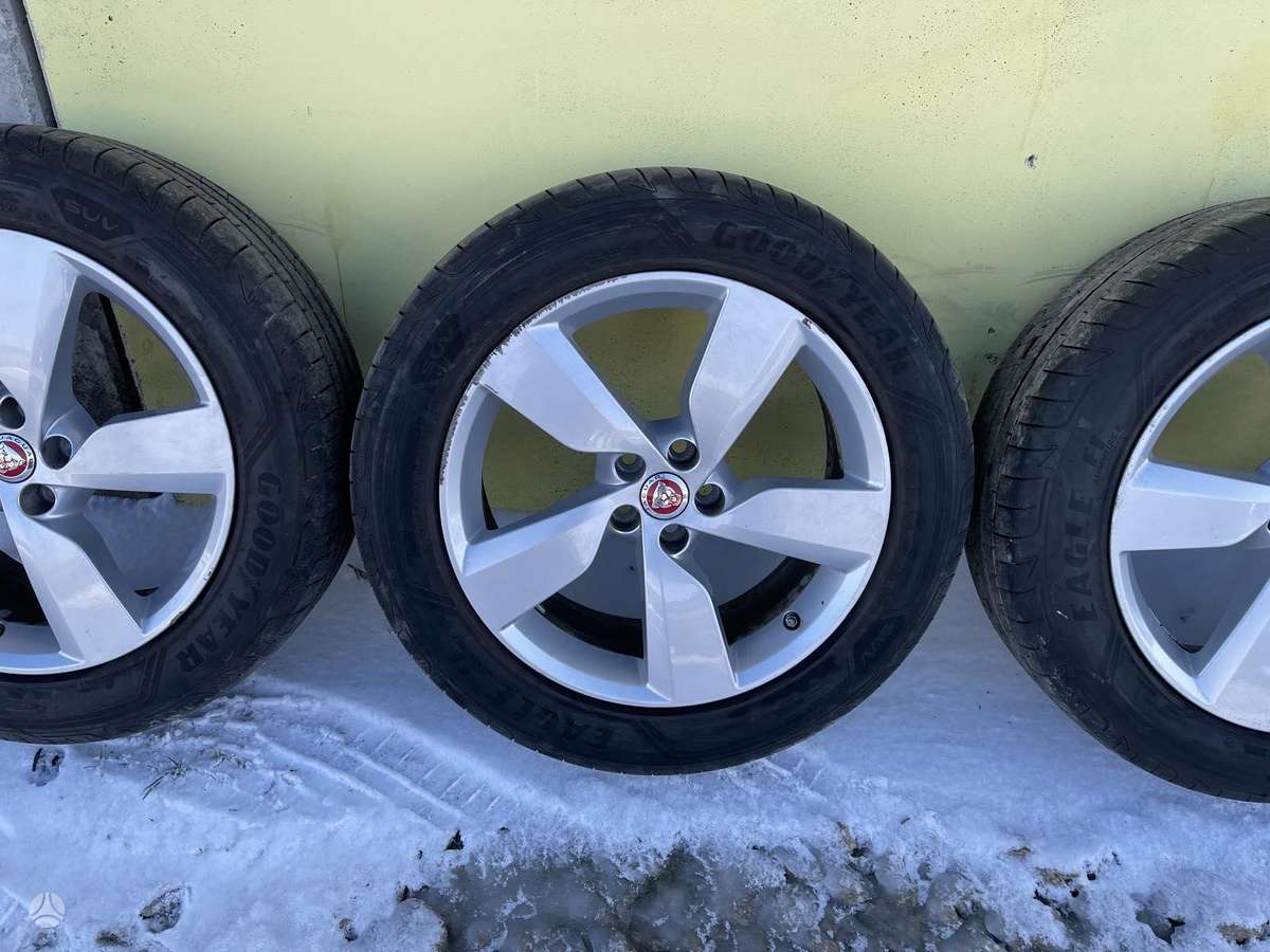 Jaguar, light alloy, R19