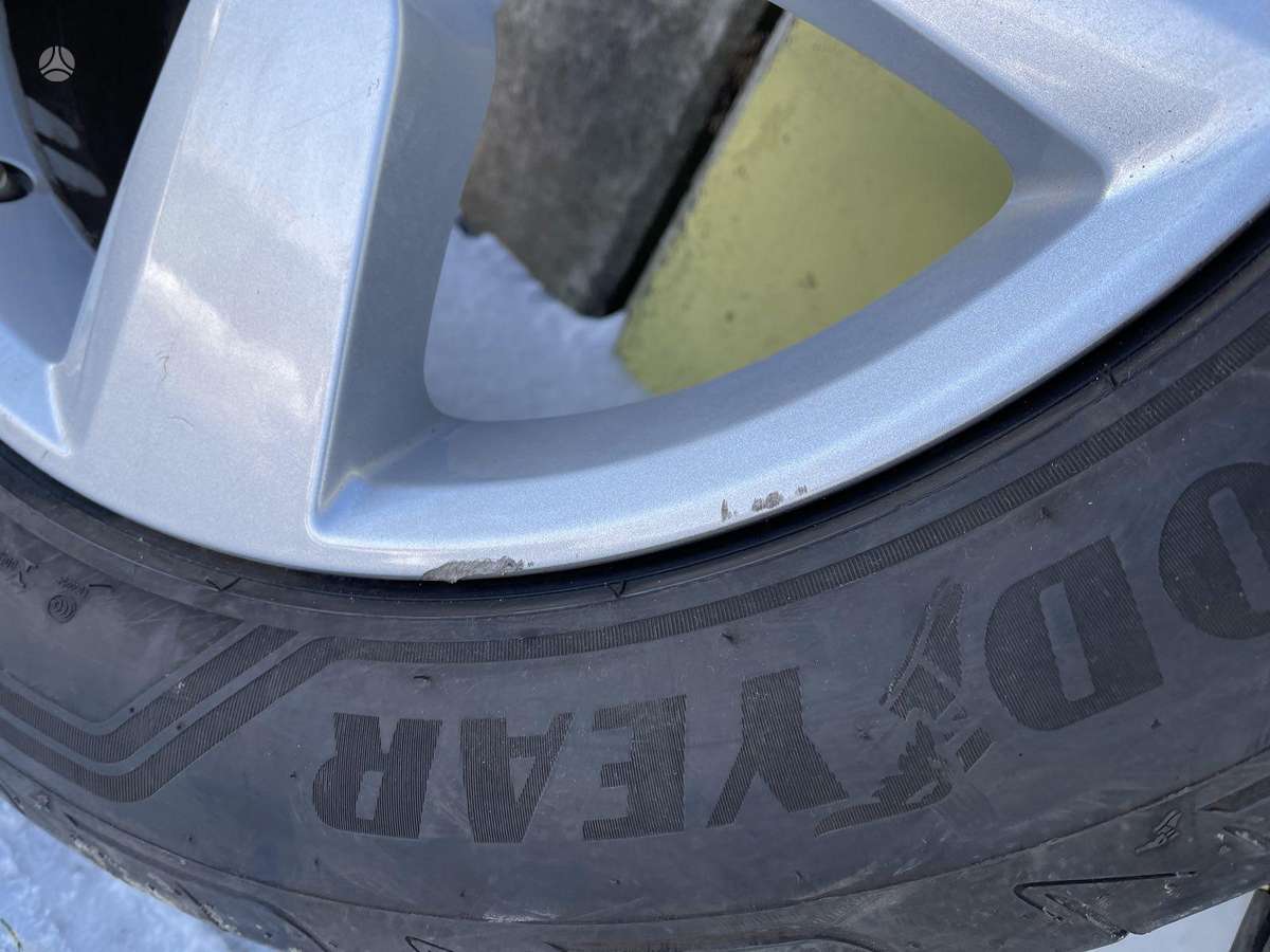 Jaguar, light alloy, R19