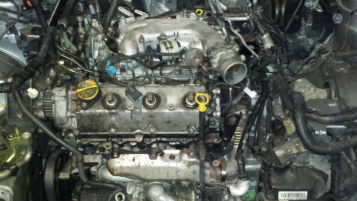 Opel Signum Ira ir 2 2 variklis