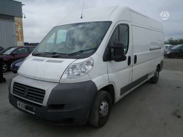 Fiat Ducato, cargo vans
