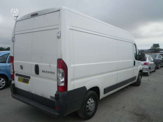 Fiat Ducato, cargo vans