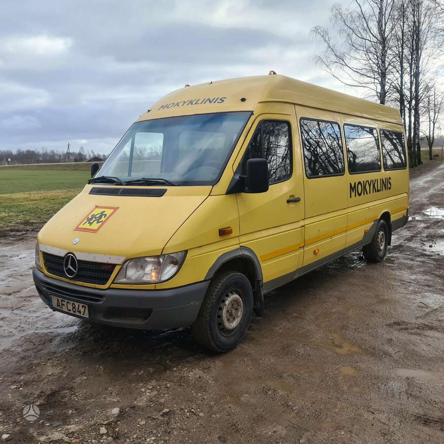 Mercedes-Benz 311, passenger vans