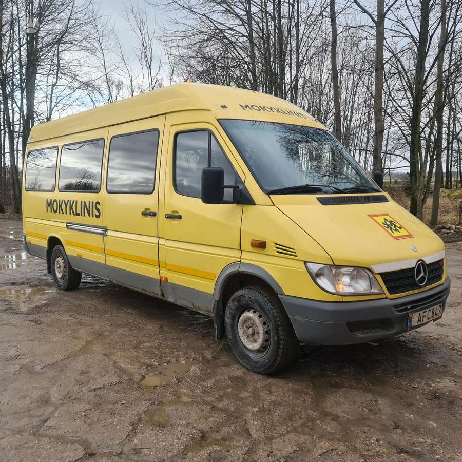 Mercedes-Benz 311, passenger vans