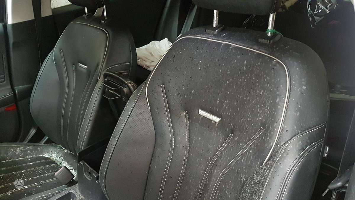 Ford Focus Dalimis