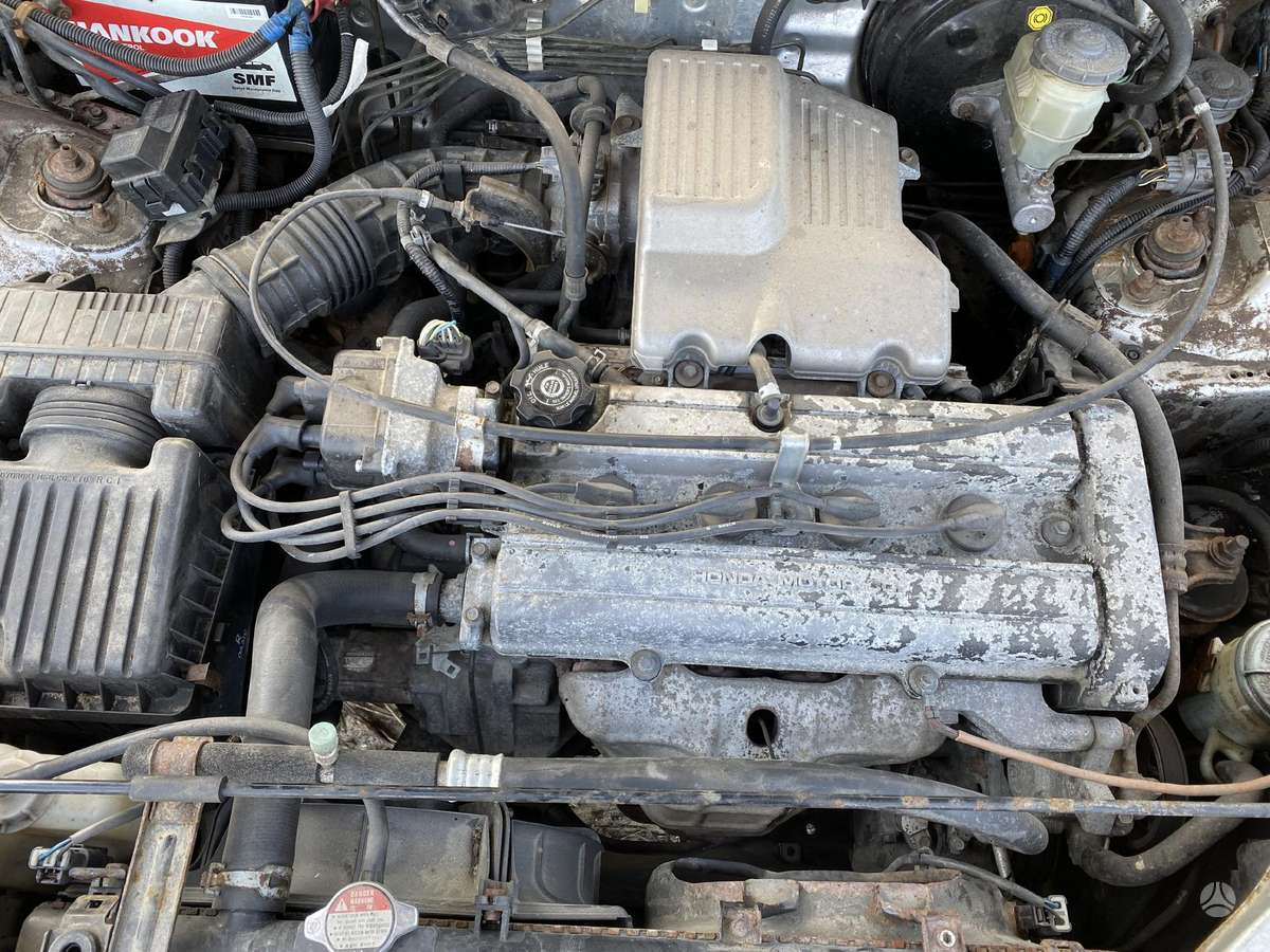 Honda CR-V Dalimis
