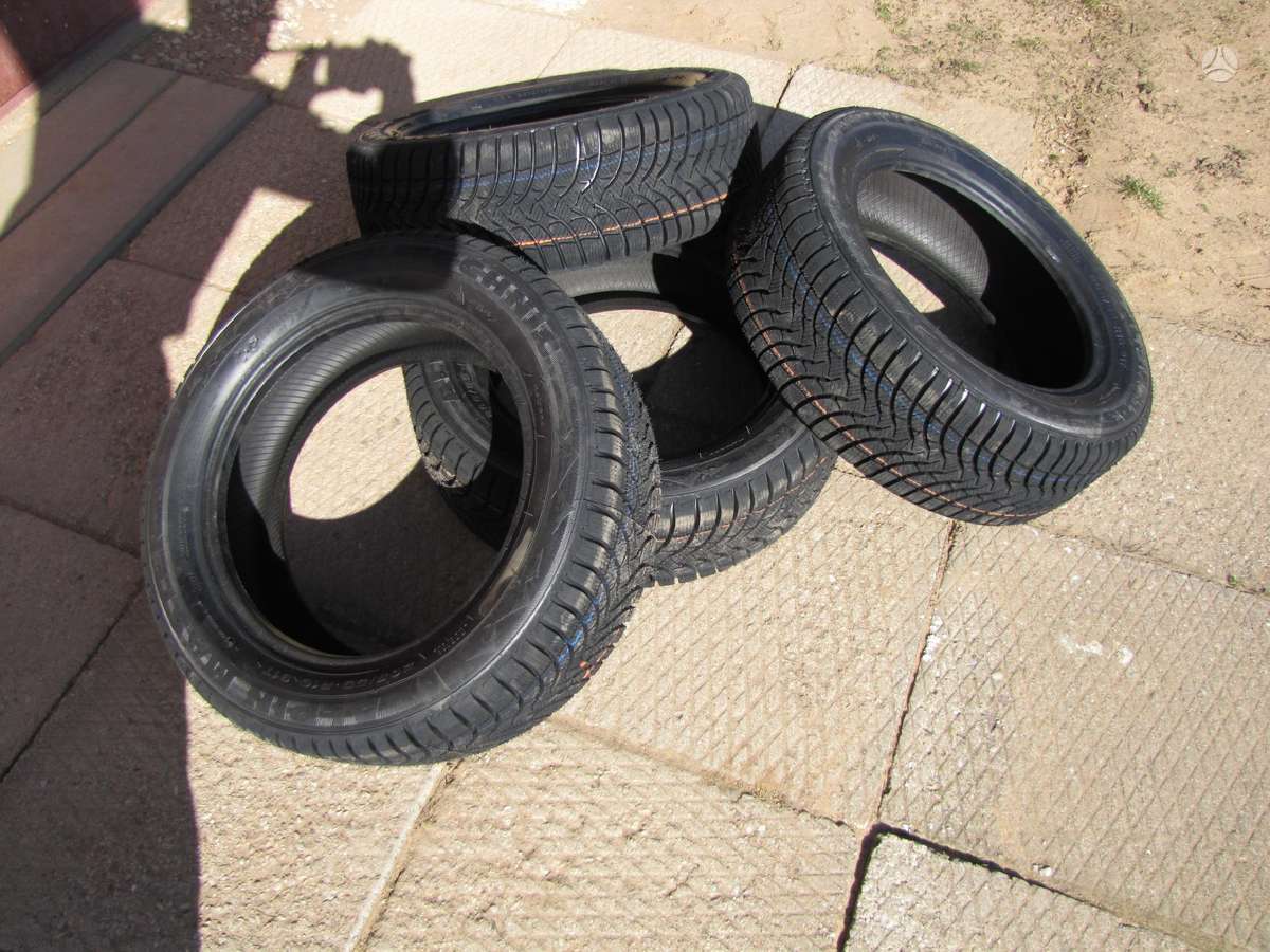 Agi ALPIN MASTER 4 TECHNIC, winter 205/55 R16