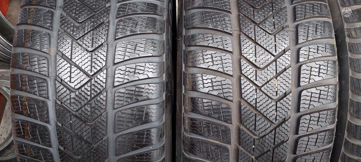 Pirelli, žieminės 265/50 R19