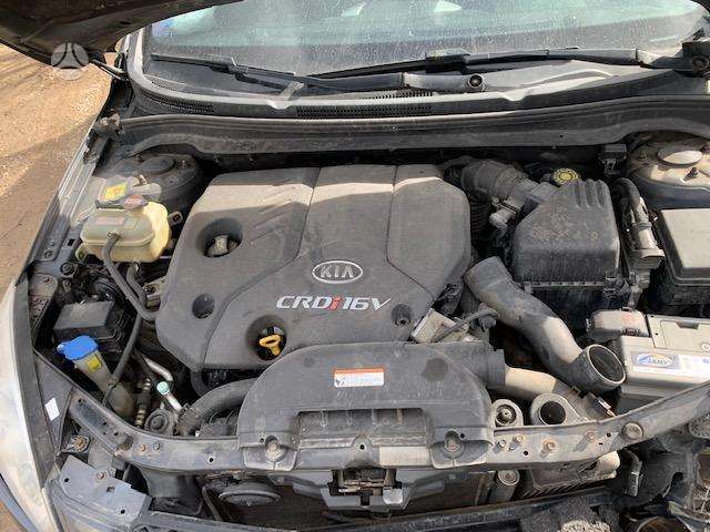Kia Ceed dalimis