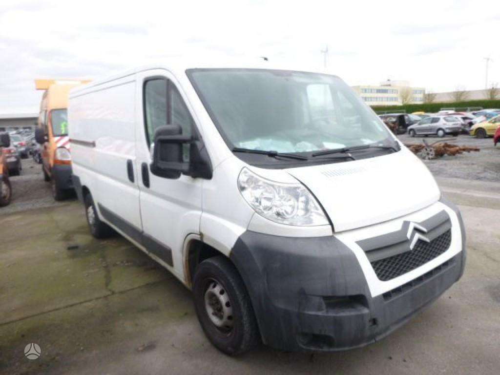 Fiat Ducato, krovininiai mikroautobusai
