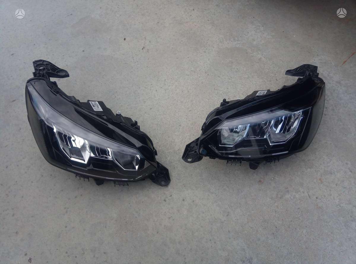 Peugeot 2008 dangtis (priekinis, galinis)