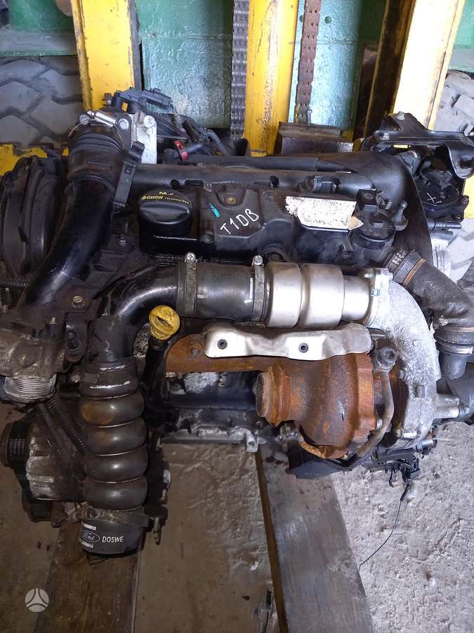 Ford Focus variklis