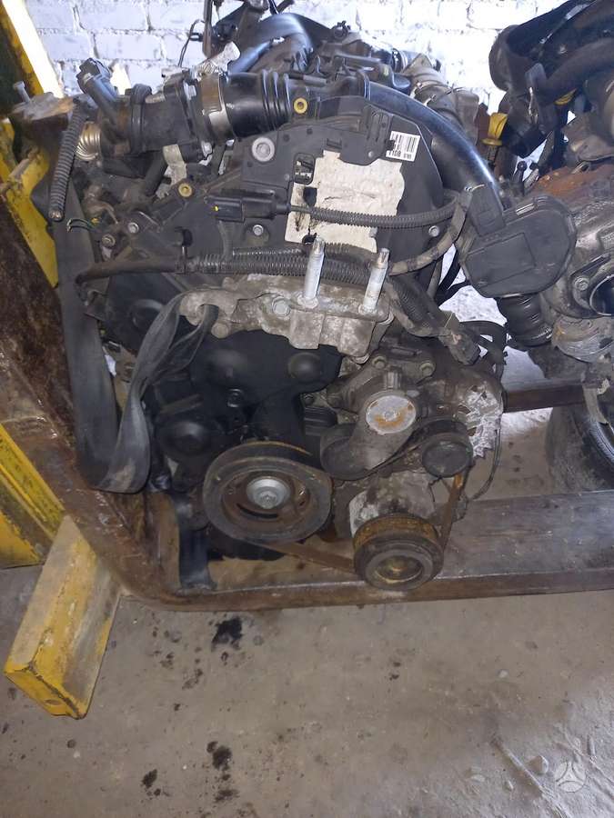 Ford Focus variklis