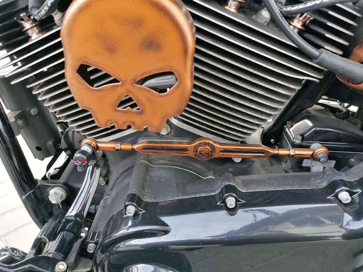Harley-Davidson FLS 1690cc, choppers / cruisers / custom
