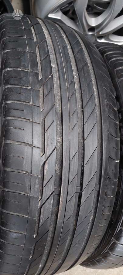 Bridgestone, vasarinės 225/45 R19