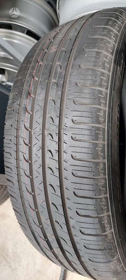 Goodyear, vasarinės 225/55 R19