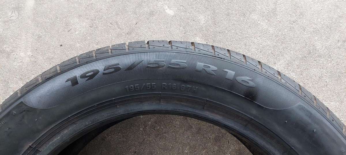 Pirelli, vasarinės 195/55 R16