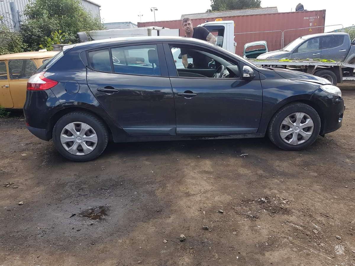 Renault Megane dalimis