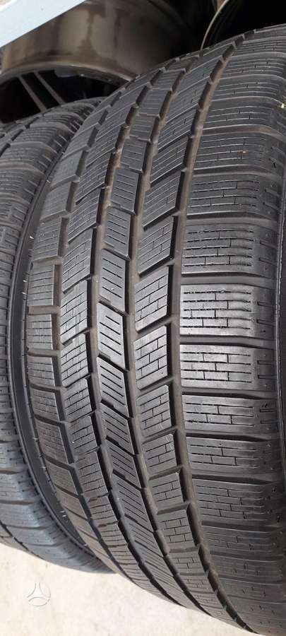 Pirelli, žieminės 255/50 R19