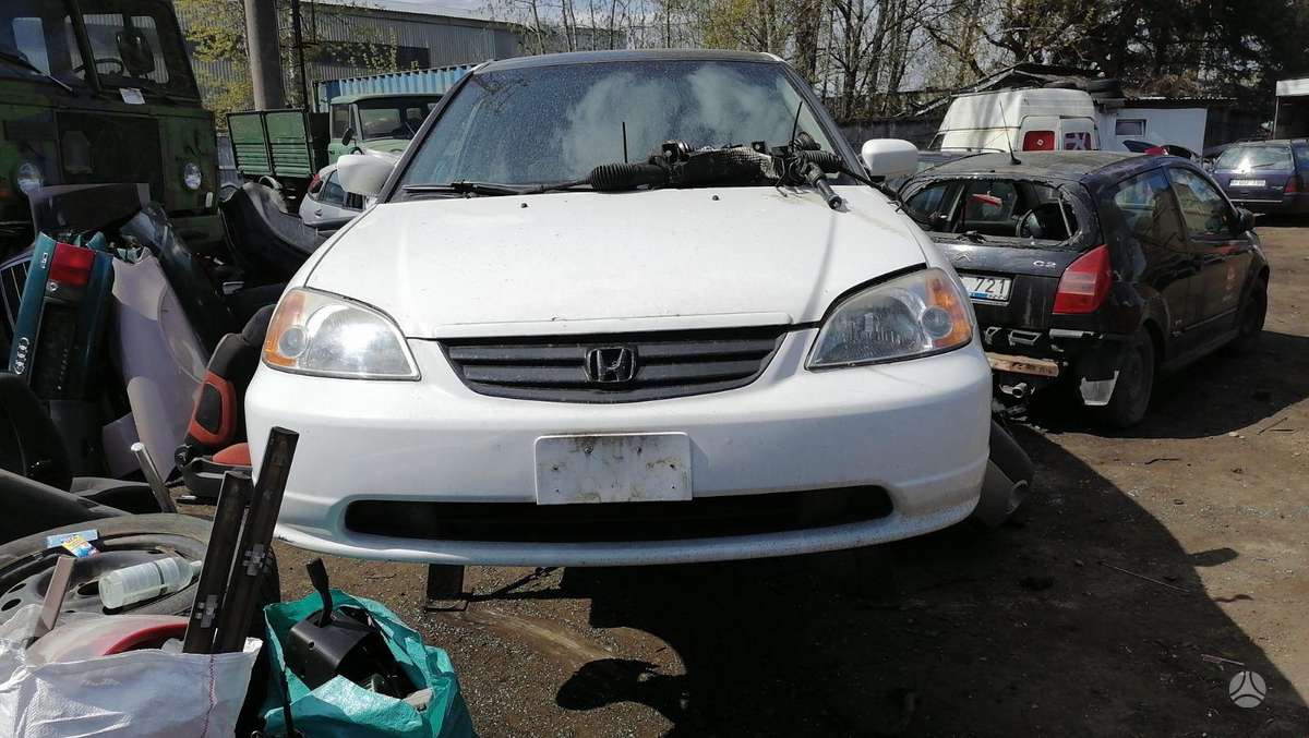 Honda Civic Dalimis