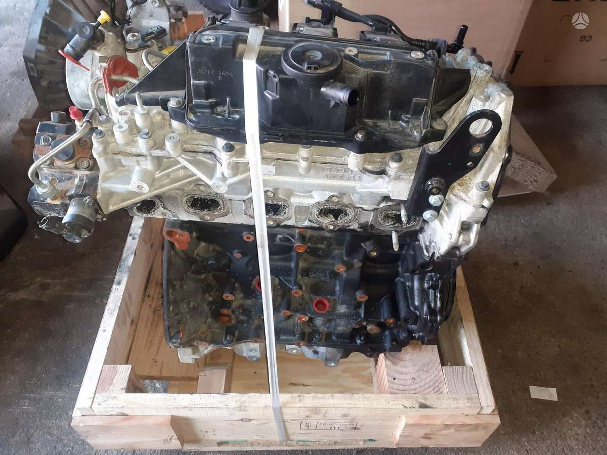 Renault Trafic, cargo vans