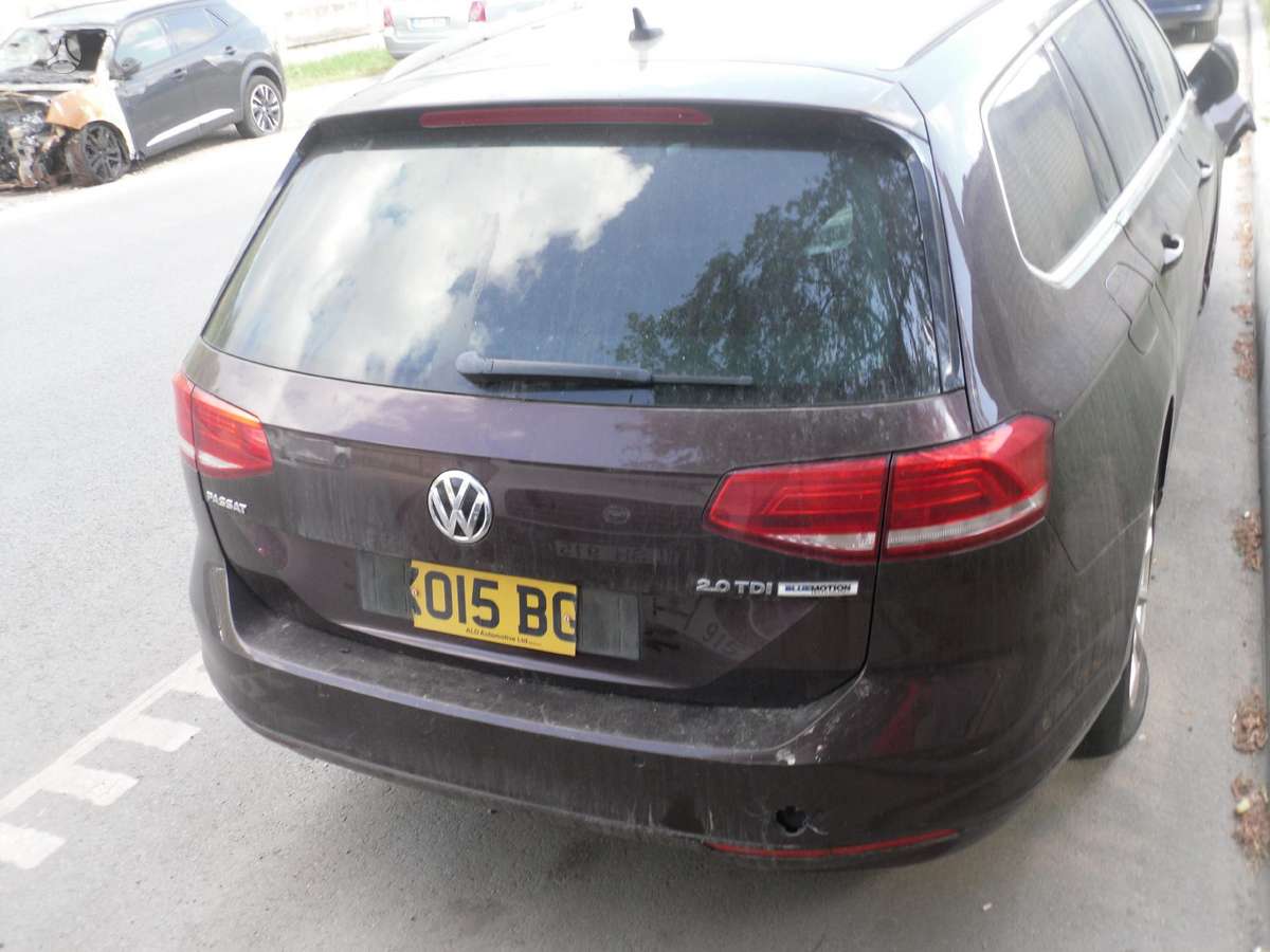 Volkswagen Passat dalimis