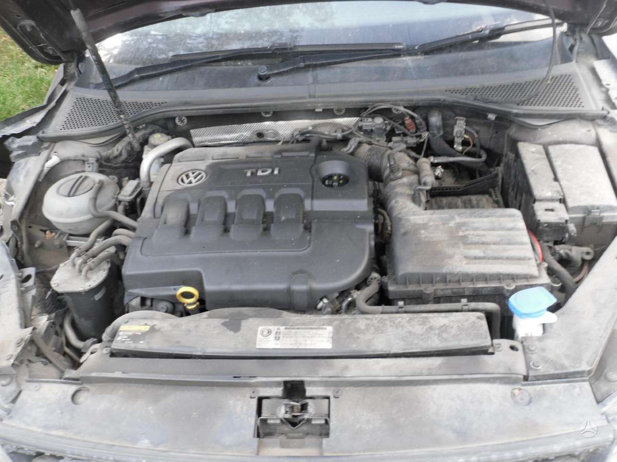 Volkswagen Passat dalimis