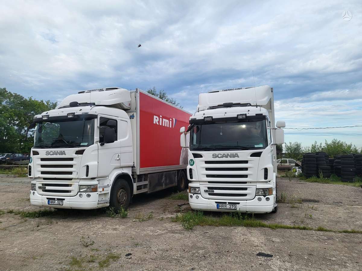 Scania R 420, рефрижераторы