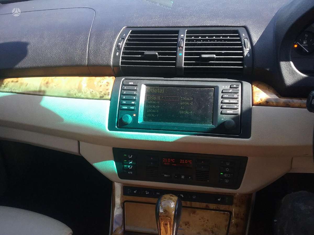 BMW X5 Dalimis